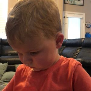 Meet your Posher, Beau